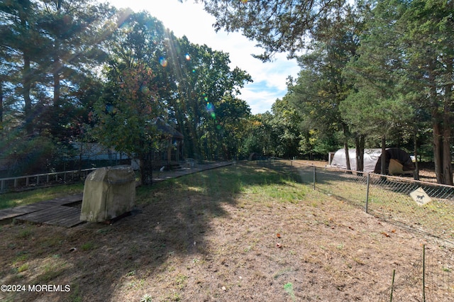 view of yard with a storage unit