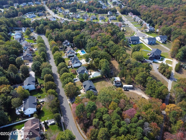 drone / aerial view