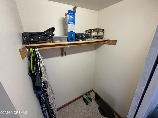 spacious closet featuring carpet