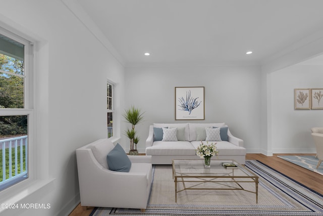 living room featuring recessed lighting, wood finished floors, a wealth of natural light, and baseboards