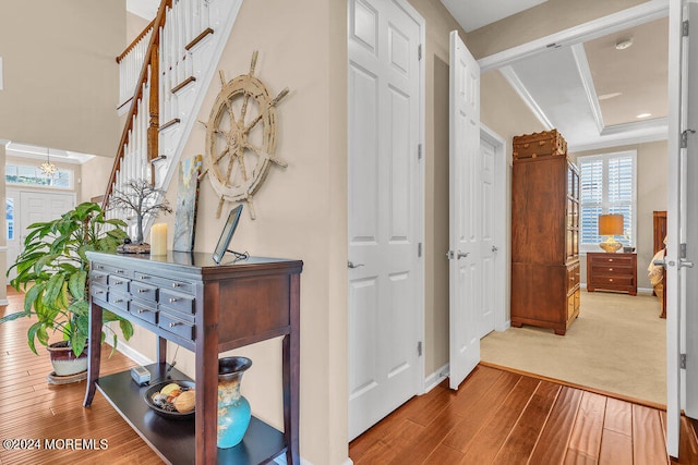 hall featuring hardwood / wood-style flooring and ornamental molding