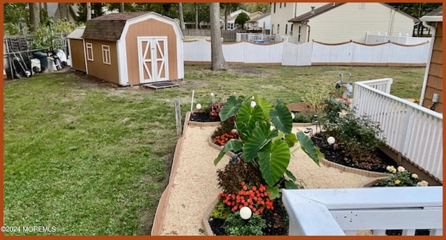 view of yard with a shed