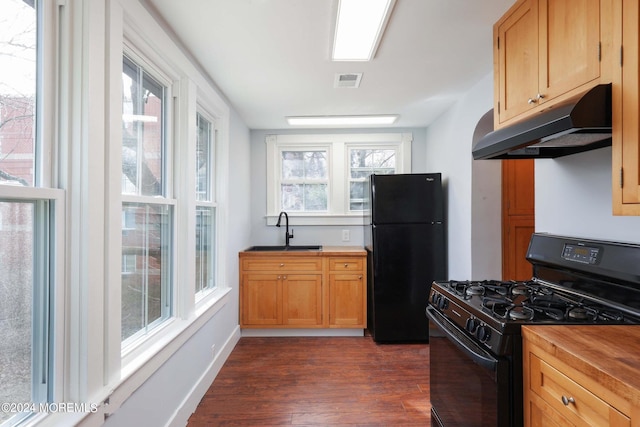 kitchen featuring black appliances, a healthy amount of sunlight, and sink