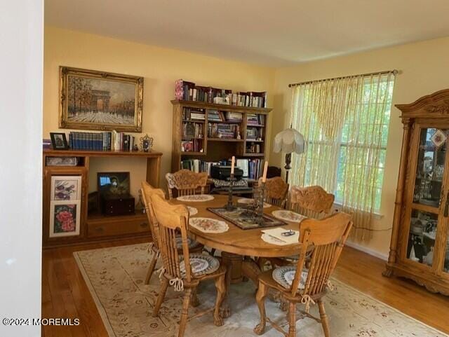 interior space featuring hardwood / wood-style floors