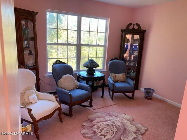 sitting room featuring carpet