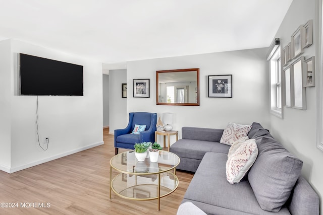 living room featuring light hardwood / wood-style floors