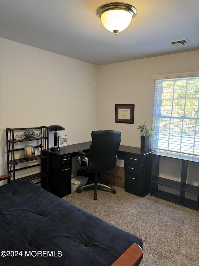 home office featuring carpet flooring