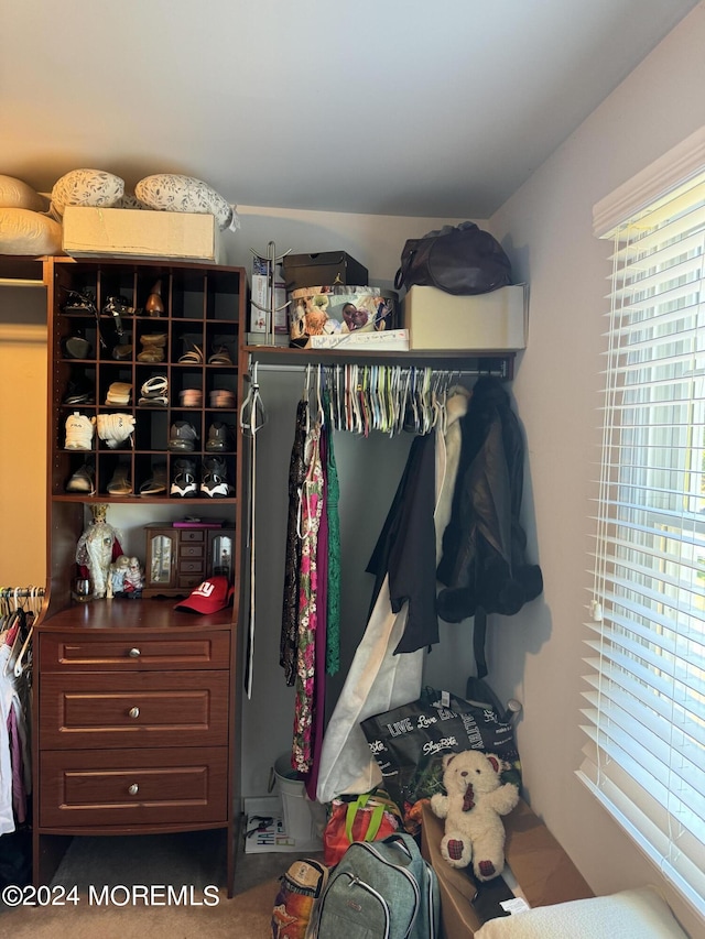 spacious closet featuring carpet floors