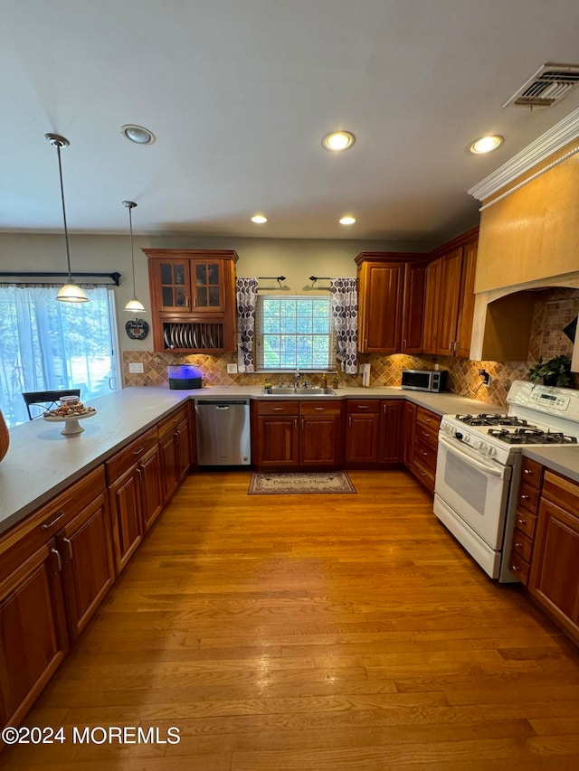 kitchen with light wood-type flooring, a healthy amount of sunlight, white range with gas cooktop, and stainless steel dishwasher