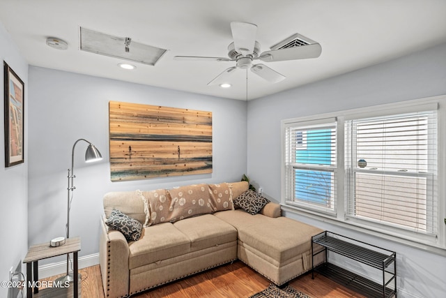 living room with ceiling fan and wood-type flooring