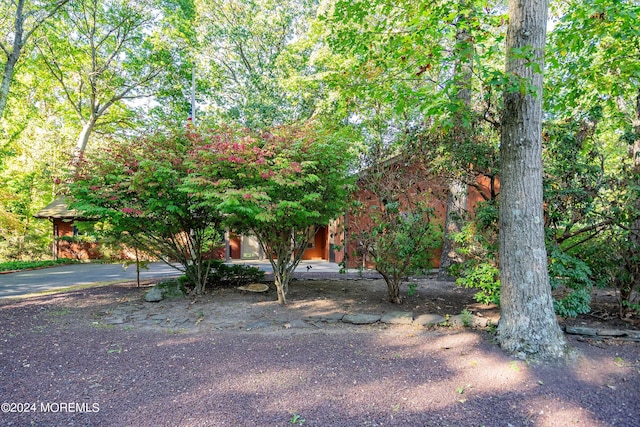 view of property hidden behind natural elements