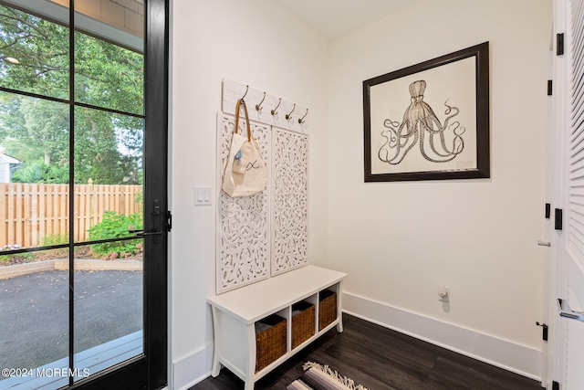 mudroom with dark wood-type flooring