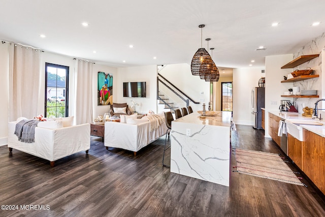 living room with sink and dark hardwood / wood-style flooring