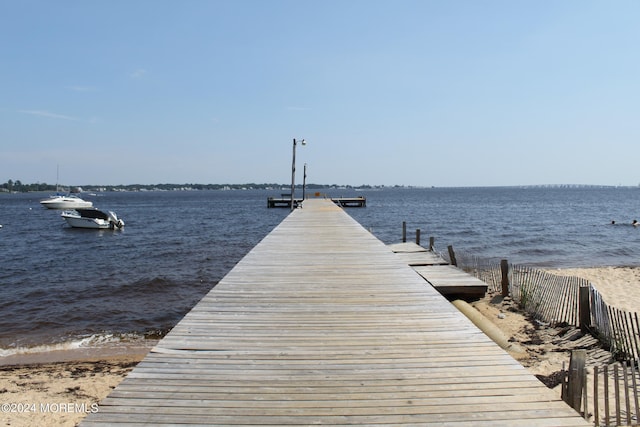 dock area with a water view