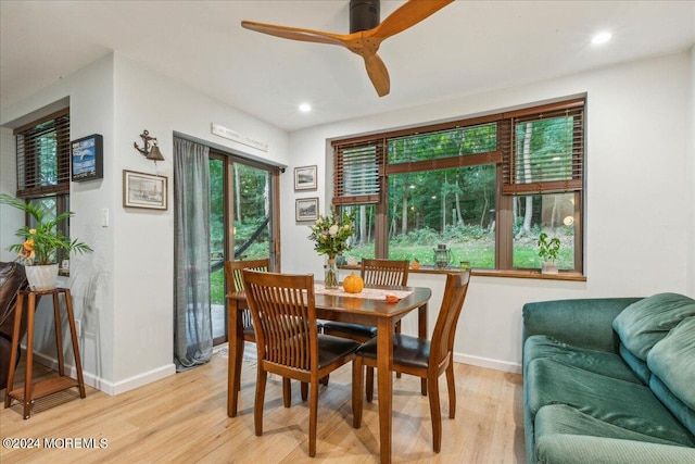 dining space featuring ceiling fan and light hardwood / wood-style flooring