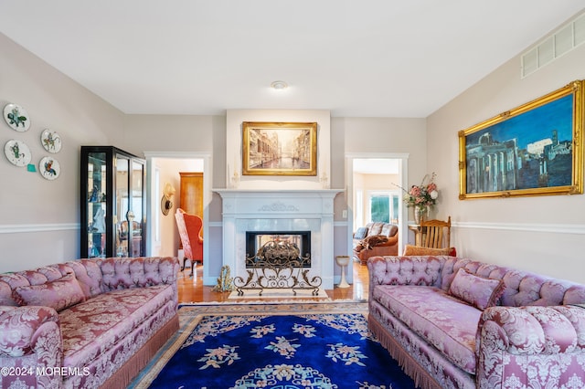 living room featuring hardwood / wood-style floors