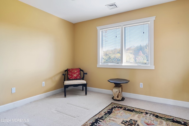 sitting room with carpet floors