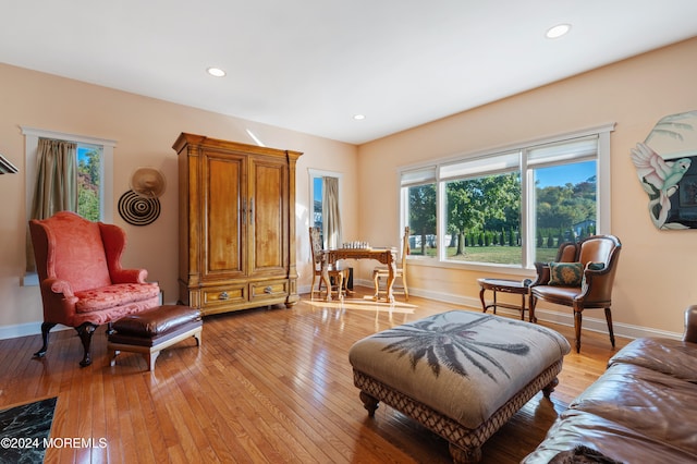 living area with light hardwood / wood-style flooring