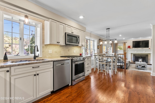 kitchen with light stone counters, ornamental molding, dark hardwood / wood-style floors, sink, and stainless steel appliances