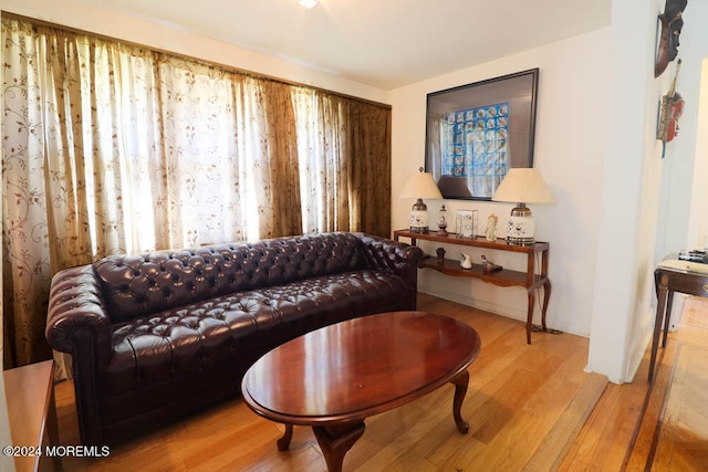 living area featuring light hardwood / wood-style floors