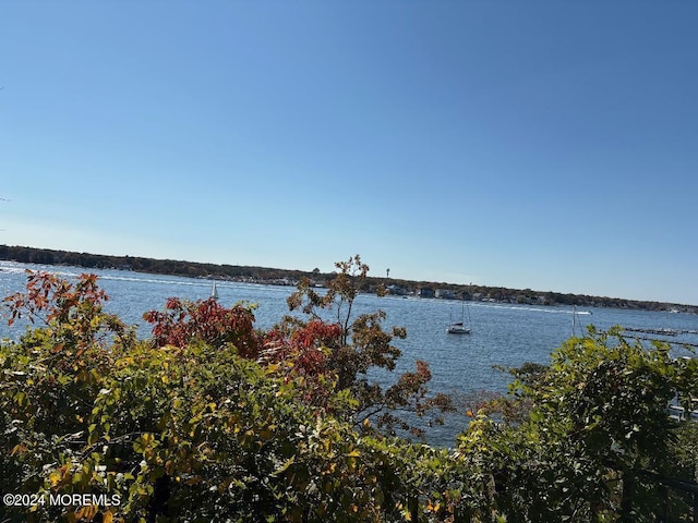 view of water feature