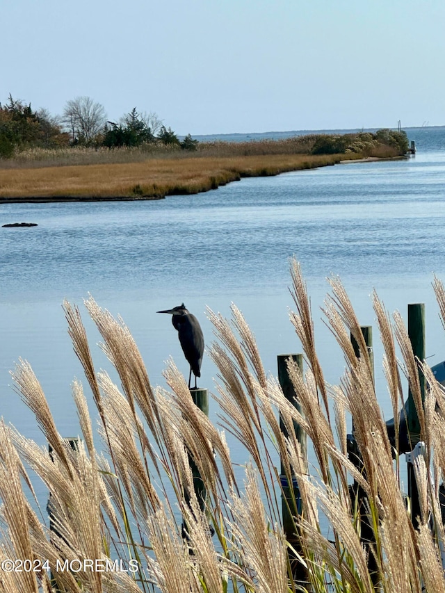 property view of water