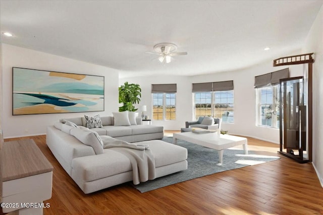 living room featuring ceiling fan and wood-type flooring