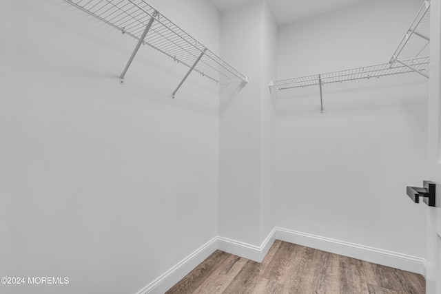 walk in closet with hardwood / wood-style flooring