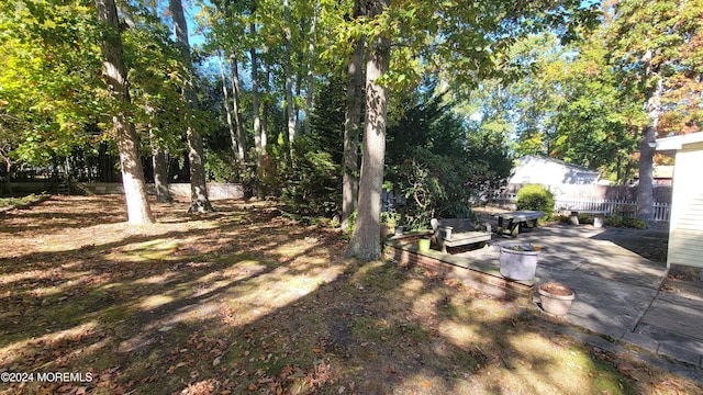 view of yard with a patio