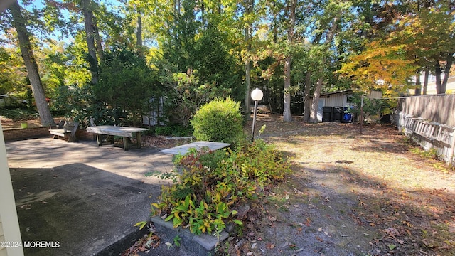 view of yard with a patio