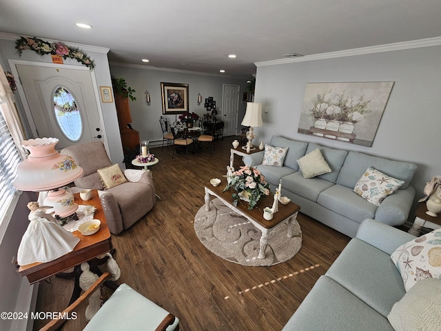 living room featuring crown molding and dark hardwood / wood-style flooring