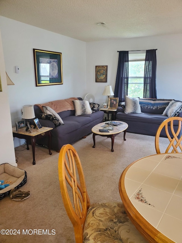 carpeted living room featuring a textured ceiling