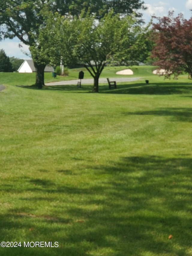 view of home's community featuring a yard