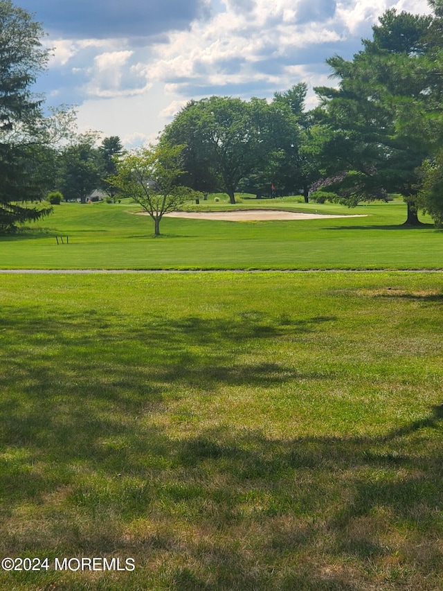 view of community with a yard