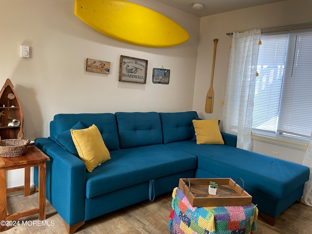 living room featuring hardwood / wood-style floors