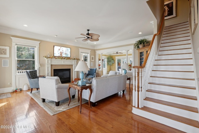 living room with crown molding, wood-type flooring, and ceiling fan