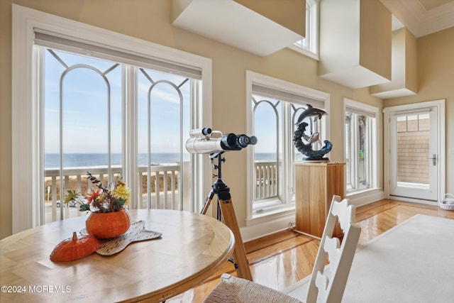 dining room with a water view, light hardwood / wood-style flooring, and a wealth of natural light