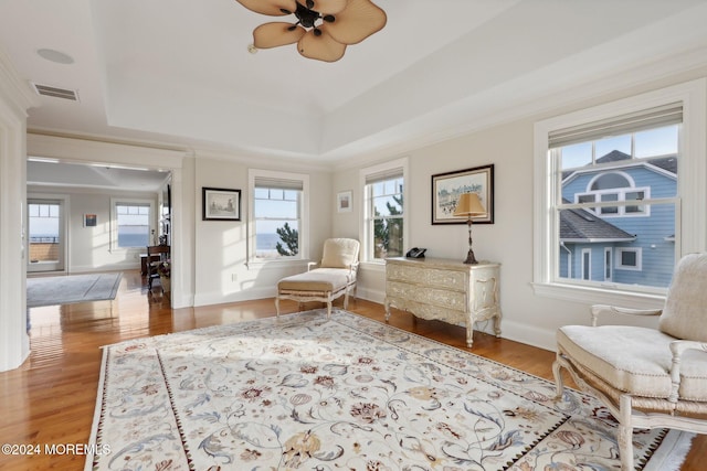 living area featuring ceiling fan, a raised ceiling, and wood-type flooring