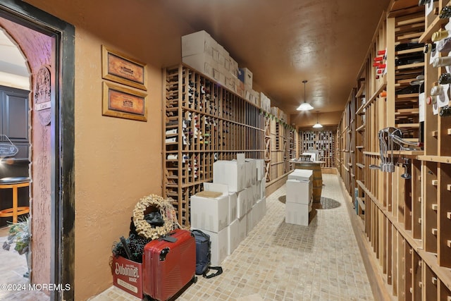 view of wine cellar