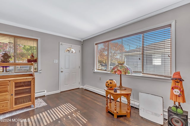 foyer entrance with a wealth of natural light, ornamental molding, dark wood-type flooring, and baseboard heating