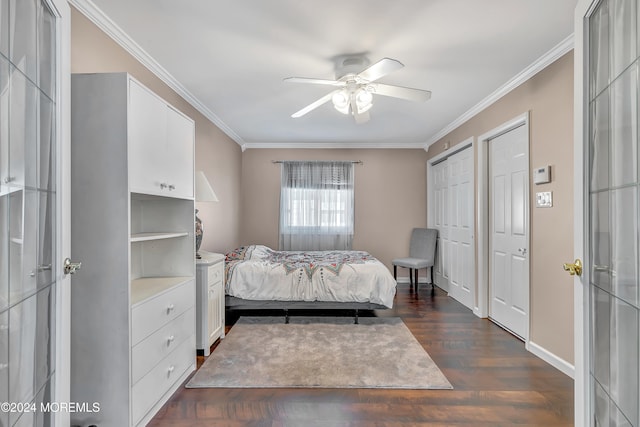 bedroom featuring crown molding, dark hardwood / wood-style floors, two closets, and ceiling fan