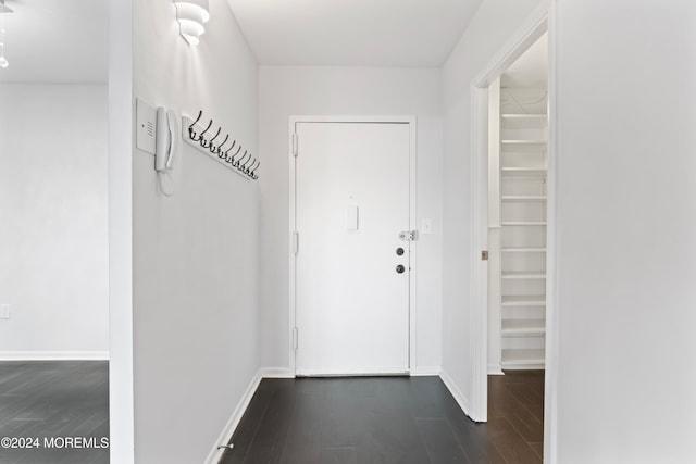 entryway with dark wood-type flooring