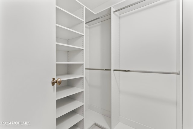 view of walk in closet