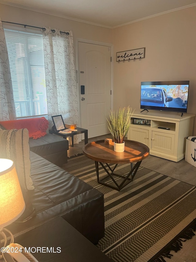 living room featuring ornamental molding and dark wood-type flooring