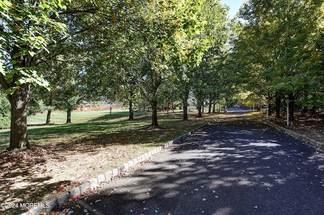 view of road