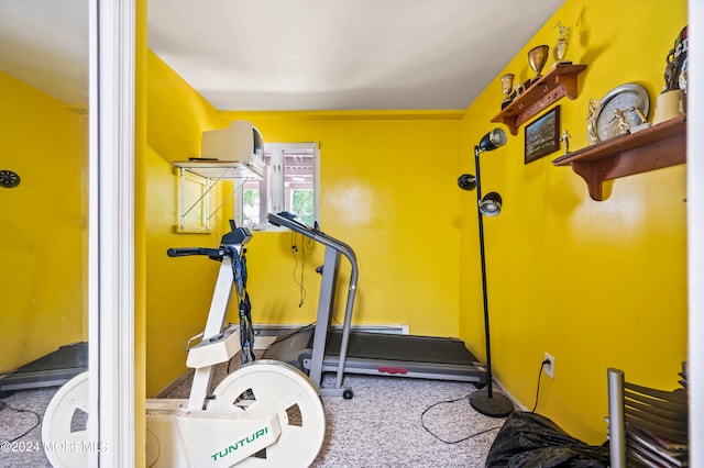 exercise area with carpet floors