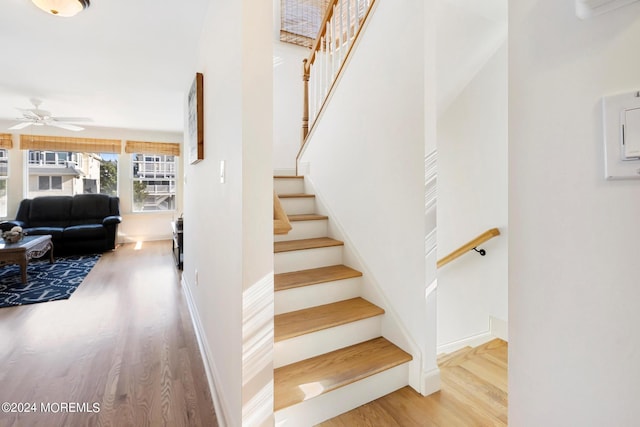 staircase with ceiling fan and hardwood / wood-style floors