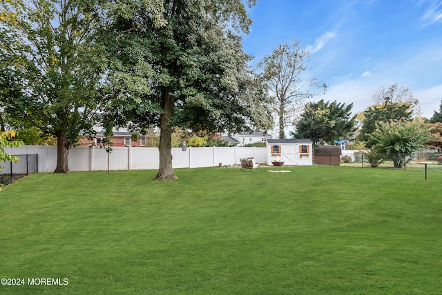 view of yard with a storage unit