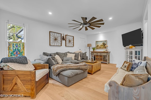 living room featuring ceiling fan, crown molding, and light hardwood / wood-style flooring