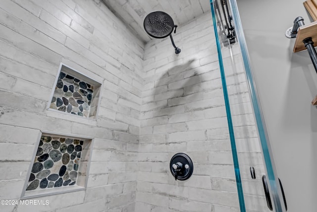 interior details with walk in shower